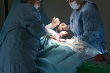 Loteria naşterii: un copil mai mic de un an moare la fiecare 5 ore